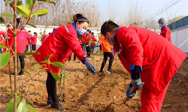 同植绿色 播种希望--金乡yobo体育
组织开展植树活动